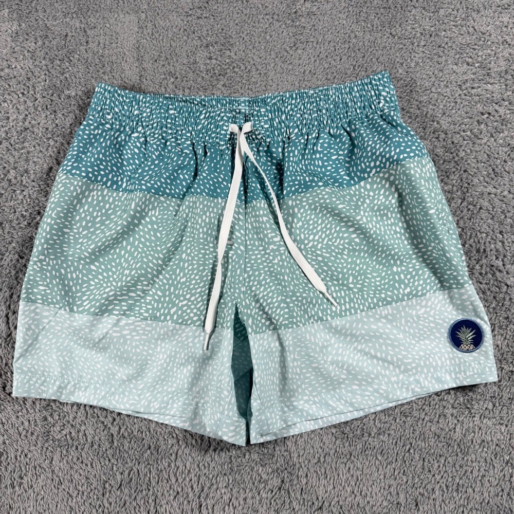 Chubbies Swim Trunks Mens Medium Teal Mint Speckled 5.5 Inseam Mesh Lined Shorts
